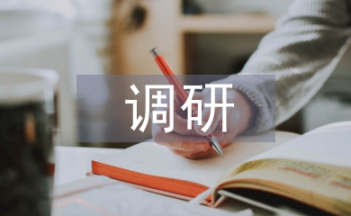 房地產項目調研