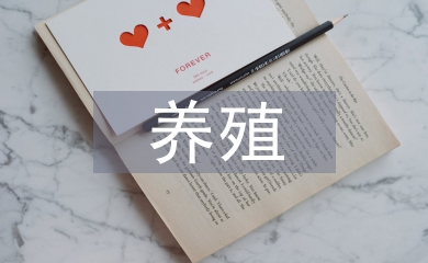 肉牛養(yǎng)殖論文