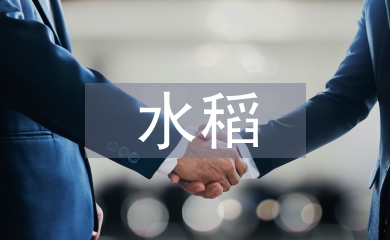 水稻專業技術工作總結