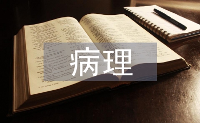 病理醫(yī)生工作總結