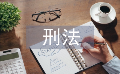 刑法理論論文