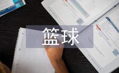 市籃球協(xié)會工作計劃