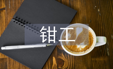 維修鉗工實習工作總結