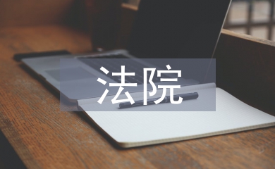 法院項目化工作要點