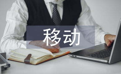 移動渠道經理工作思路