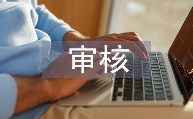 預結算審核論文