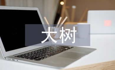 野生香樟大樹的移栽與養護