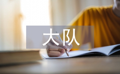 城管大隊工作總結