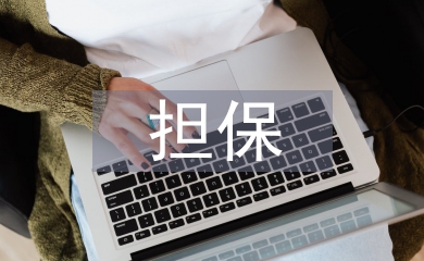 再擔保業務風險管理探析