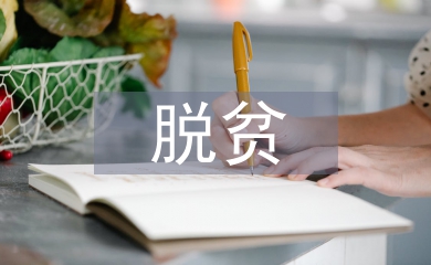 村脫貧攻堅匯報材料