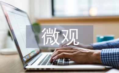 微觀經濟論文